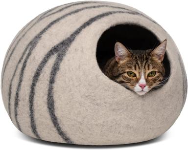 cat cave