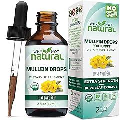 Why Not Natural Organic Mullein Lung Drops