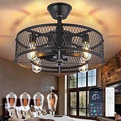 Depuley 20" Black Fandelier Ceiling Fan with Light