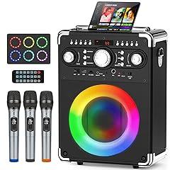 HWWR Pro Audio Karaoke Machine with Mics