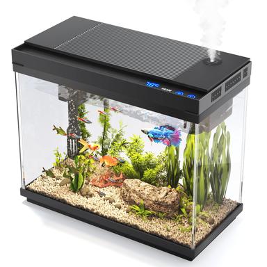 betta fish kit