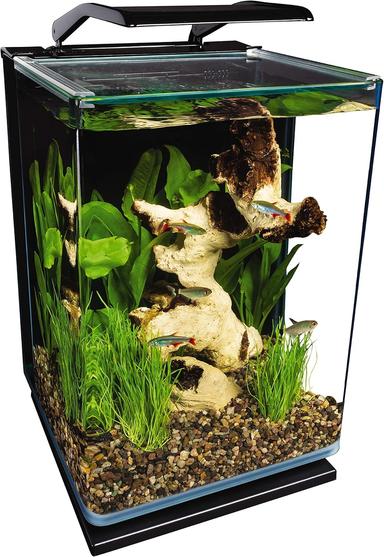betta fish kit