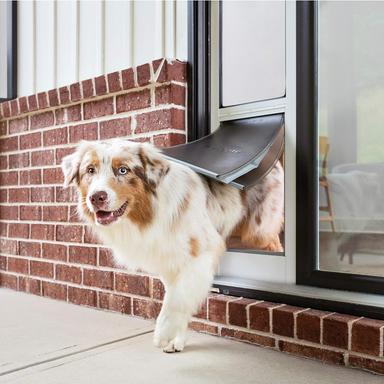 sliding glass dog door