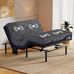 Amada Queen Adjustable Bed Frame with Mattress Set