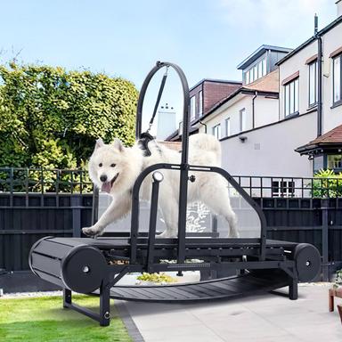 treadmill for dogs