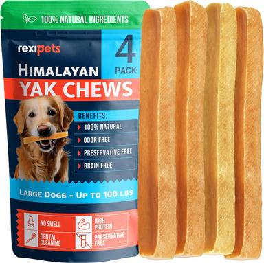 dog snack