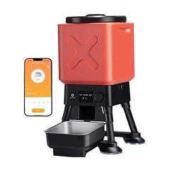 Molly & Cody Automatic Dog Feeder