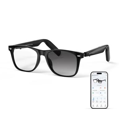 ai glasses