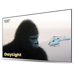 AWOL Vision 100 UST Projector Screen