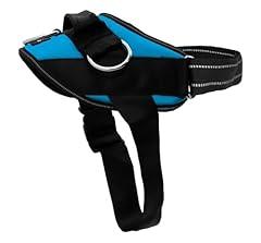 ShawnCo Essential Dog Harness, Oceanic Blue, S