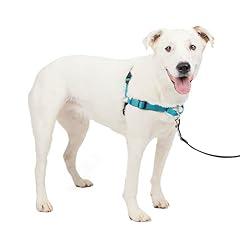 PetSafe Easy Walk Deluxe Dog Harness Medium/Large Ocean
