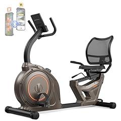 Niceday Recumbent Exercise Bike with Smart Bluetooth