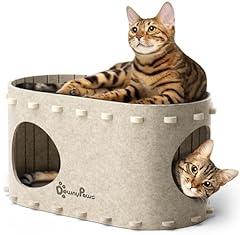 DownyPaws Cat House and Bed Cave