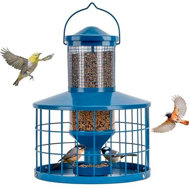 bluebird feeder