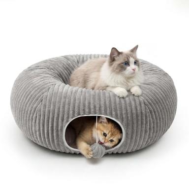cat cave