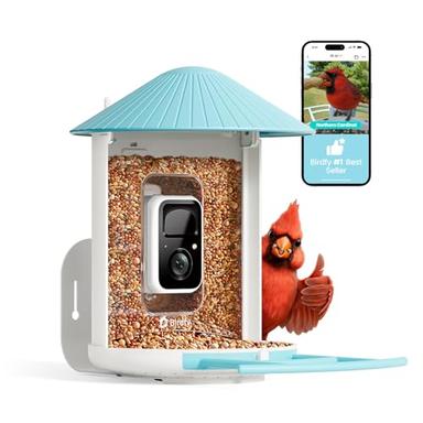 bird camera feeder