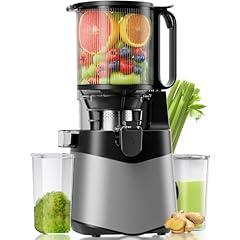 EanOruus Cold Press Juicer 400W