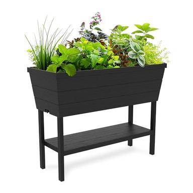 raised garden bed