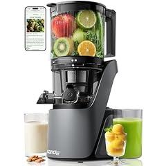 Canoly Cold Press Juicer Space Gray