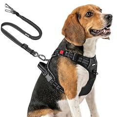 Joytale Dog Harness and Seat Belt Set
