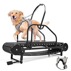 Raenate Heavy Duty Dog Treadmill