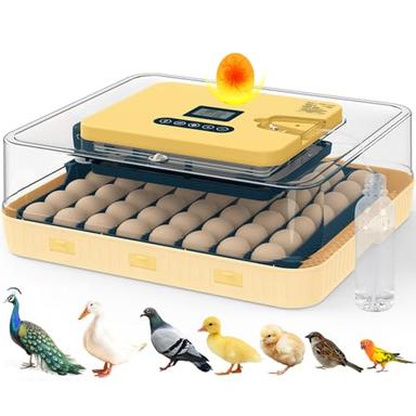 egg incubator