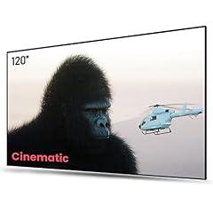 AWOL VISION Serriform ALR 120" Projector Screen