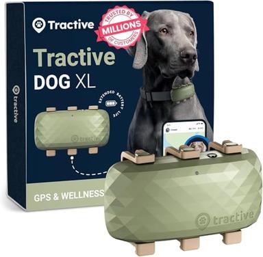 Dog GPS Tracker
