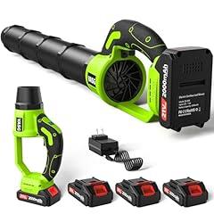 VASG Cordless Leaf Blower Kit