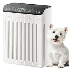 Evalit Air Purifier for Large Rooms