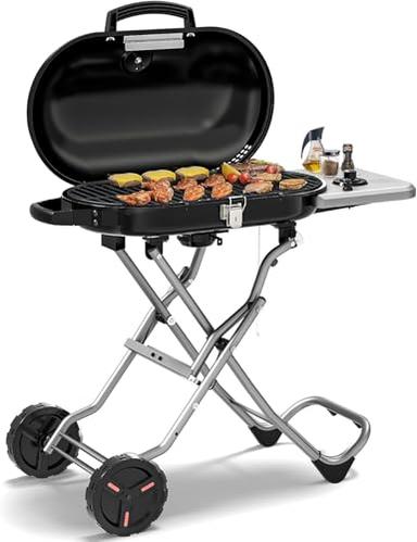 Weber Traveler grill