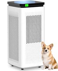 SIESEAN Air Purifier for Large Rooms