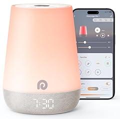 Dreamegg Baby Sound Machine