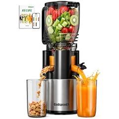 Godspeeds Cold Press Juicer