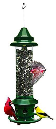 squirrel proof bird feeder