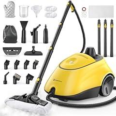 Expertcun Heavy Duty Steam Cleaner 1500W