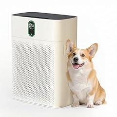 Pureborne Air Purifiers for Home