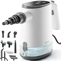 TEEVOGO Handheld Steam Cleaner 650ML