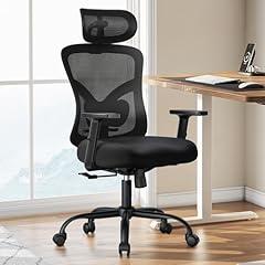 Marsail Ergonomic Office Chair with Lumbar Support
