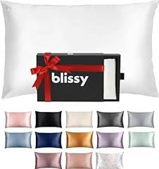 Blissy Silk Pillowcase 22 Momme White