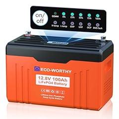 ECO-WORTHY LiFePO4 Lithium Battery with Bluetooth