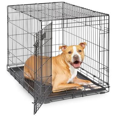 dog cage crate