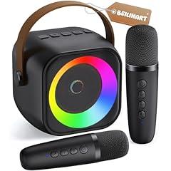 Mini Bluetooth Karaoke System with Microphones