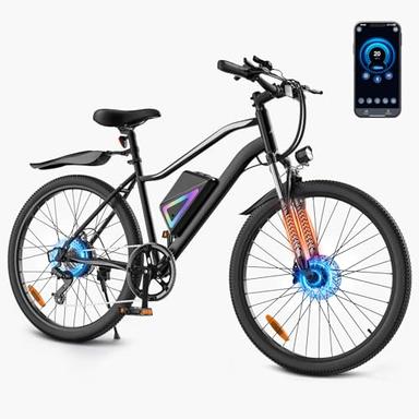 adult electric bicycle