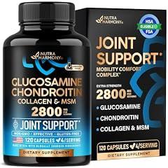 Glucosamine Chondroitin Joint Support Supplement