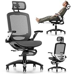 Gabrylly Ergonomic Office Chair GYB01-FT