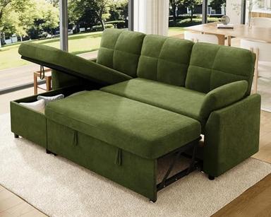 couch with pull-out bed