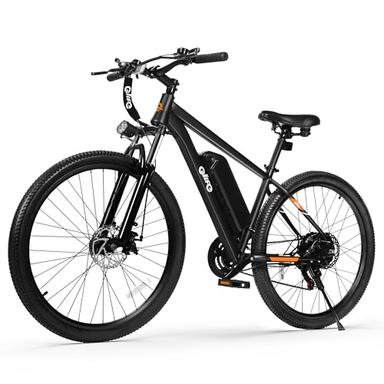 electric bicycle