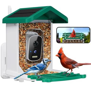 bird house with camera