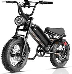 Jasion Raven Black Electric Dirt Bike 3000W